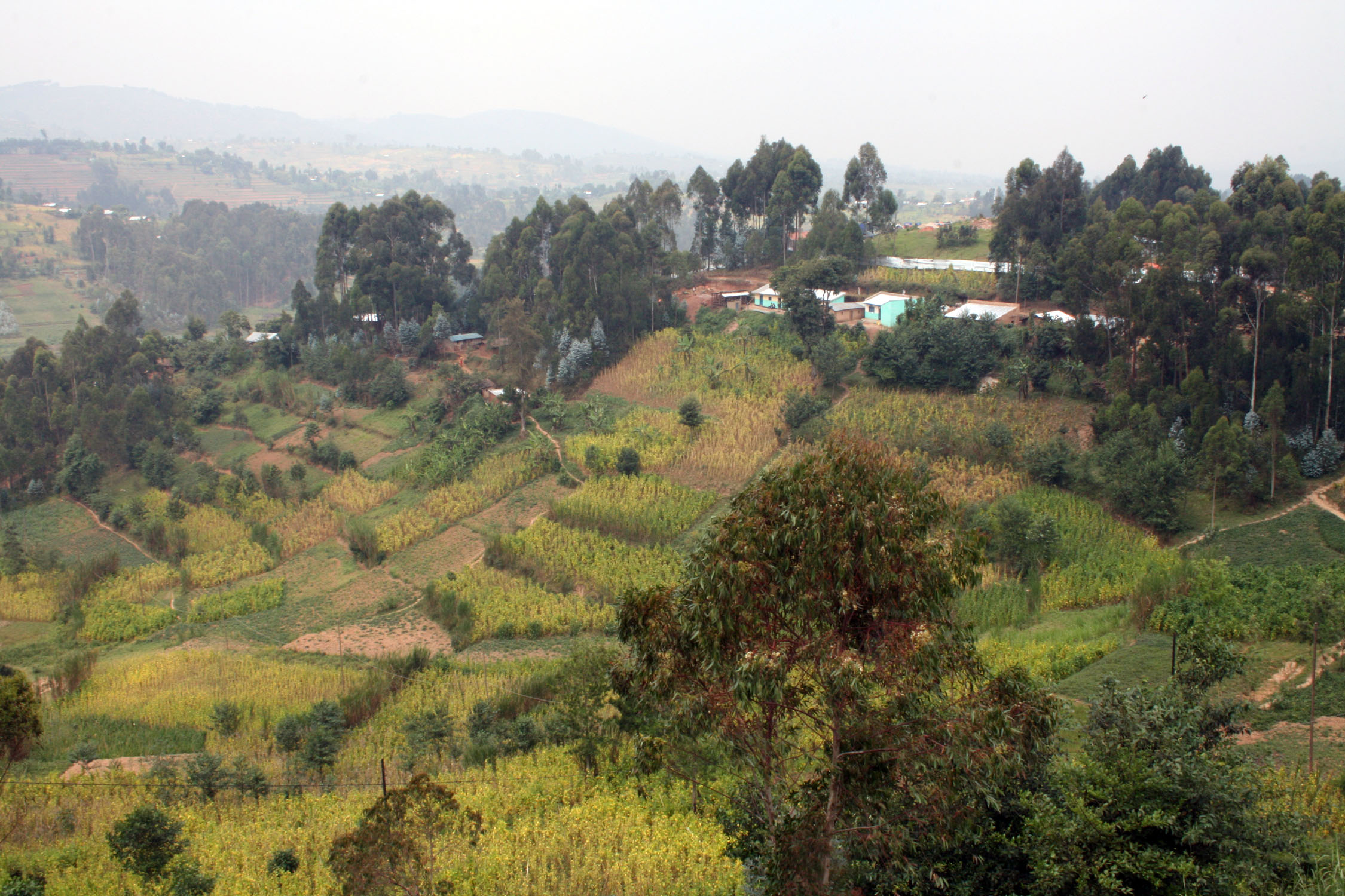 Hills of Butaro Hills of Butaro